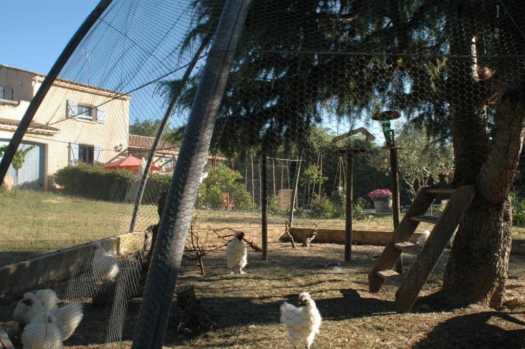 Le Termenes Bed and Breakfast Felines-Termenes Buitenkant foto